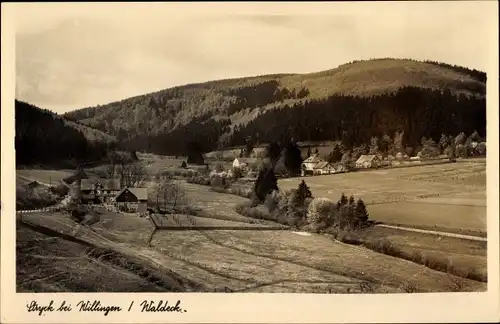 Ak Stryck Willingen Upland, Teilansicht des Ortes mit Landschaft