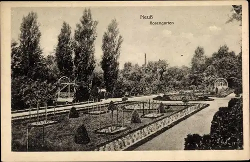 Ak Neuss am Rhein Rosengarten