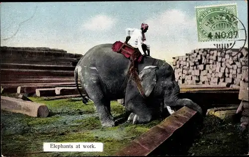 Ak Indien, Elephants at work, Elefant