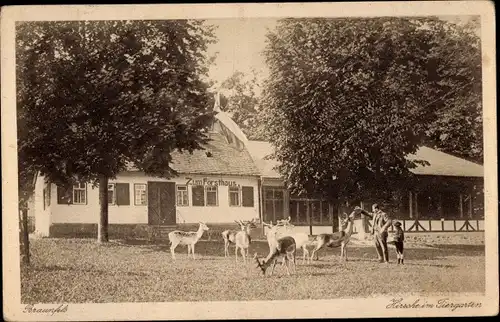 Ak Braunfels an der Lahn, Hirsche im Tiergarten, Forsthaus