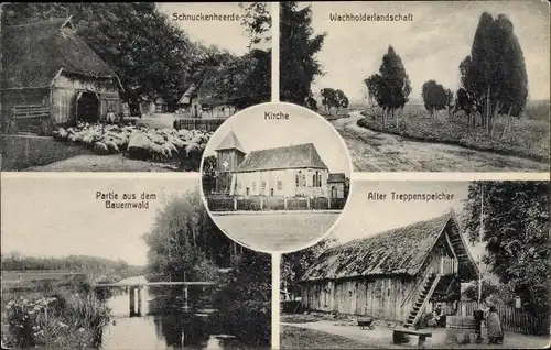 Ak Müden Örtze Faßberg Lüneburger Heide, Bauernwald, Schnuckenherde, Wachholderlandschaft