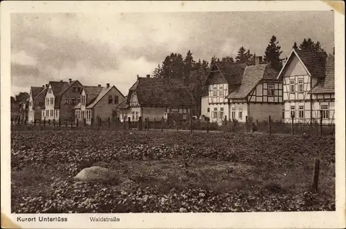 Ak Unterlüß Südheide Niedersachsen, Waldstraße