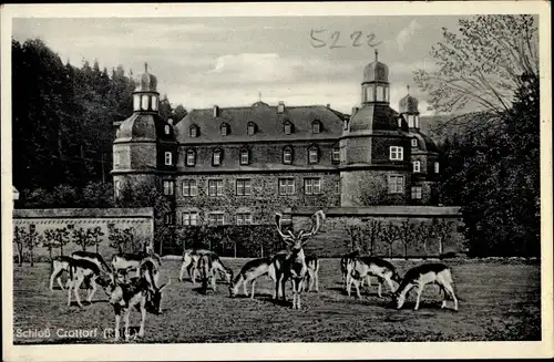Ak Crottorf Friesenhagen im Rheinland, Schloss Crottorf, Krottorf, Wildpark, Hirsche