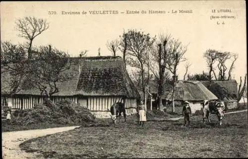 Ak Veulettes Seine Maritime, Entree du Hameau, Le Mesnil