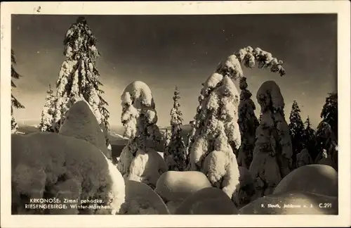 Ak Riesengebirge Krkonoše Schlesien, Winter-Märchen, Nadelbäume unter Schneelast