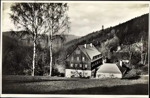 Ak Kipsdorf Altenberg im Erzgebirge, Gasthof, Wald