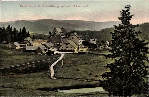 Ak Feldberg im Schwarzwald, Feldberger Hof