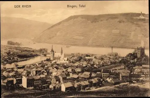 Ak Bingen am Rhein, Totalansicht