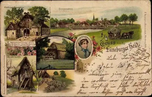 Litho Hermannsburg Südheide Niedersachsen, Lüneburger Bauernhaus, alter Speicher, Mühle, Bienenstock