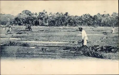 Ak La Brea Trinidad BWI, Pitch Lake, Pechsee, Asphaltsee