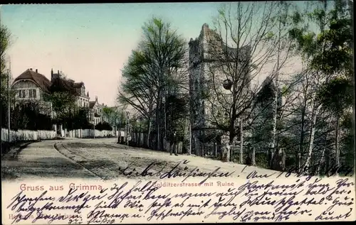 Ak Grimma in Sachsen, Colditzer Straße, Ruine