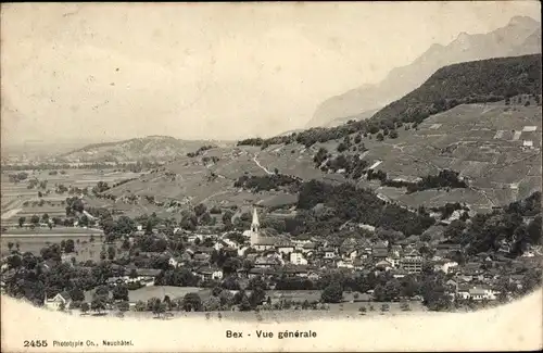 Ak Bex Kanton Waadt, Vue générale