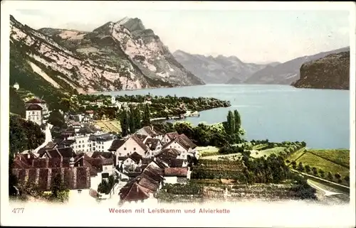 Ak Weesen Kanton Sankt Gallen, Panorama, Leistkamm, Alvierkette