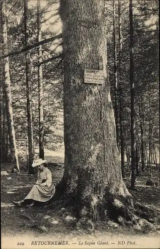 Ak Retournemer Lothringen Vosges, Le Sapin Geant