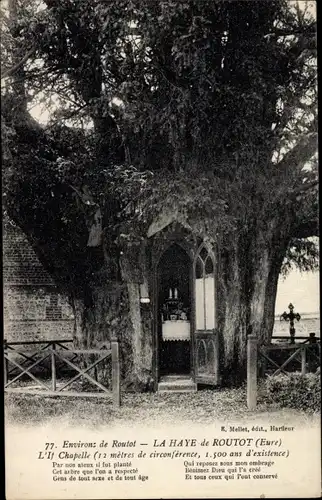 Ak La Haye de Routot Eure, L'If Chapelle, Kapelle, Schrein im Baum