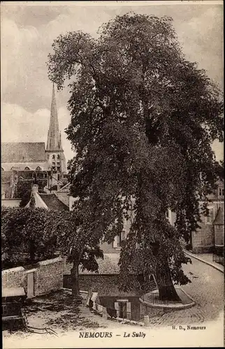 Ak Nemours Seine-et-Marne, Le Sully