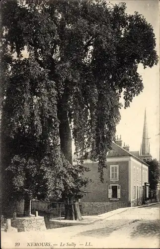 Ak Nemours Seine-et-Marne, Le Sully