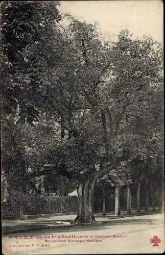 Ak Neuilly sur Seine Hauts de Seine, Arbre de Francois I., pres le Chateau Madrid