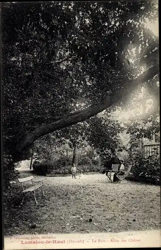 Ak Lamalou les Bains Herault, Le Parc, Allee des Chenes