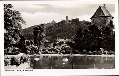 Ak Weinheim an der Bergstraße Baden, Schlosspark