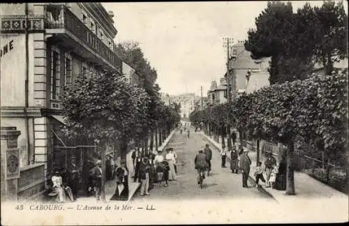 Ak Cabourg Calvados, L'Avenue de la Mer