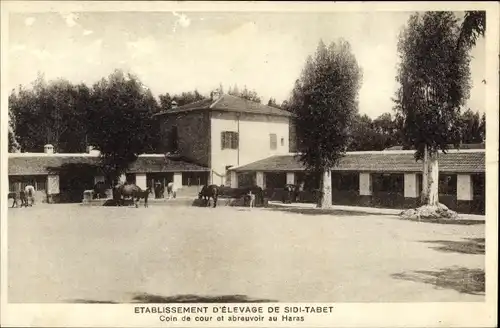 Ak Sidi Thabet Tunesien, Etablissement d'Elevage, Coin de cour, Abreuvoir au Haras