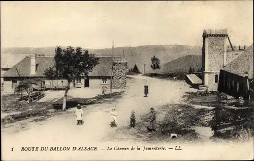 Ak Ballon d'Alsace Vosges, Route du Ballon d'Alsace, Le Chemin de la Jumenterie