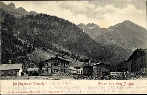 Ak Birgsau Oberstdorf im Oberallgäu, Teilansicht