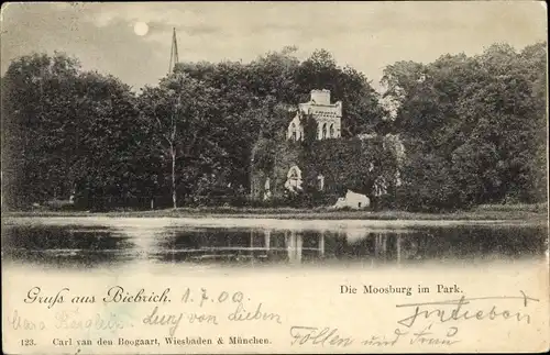 Ak Biebrich am Rhein Wiesbaden, Moosburg im Park