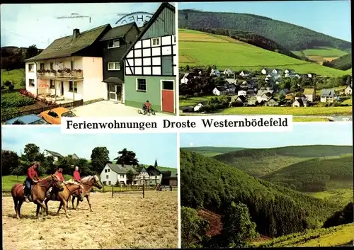Ak Westernbödefeld Schmallenberg im Sauerland, Ferienwohnungen Droste, Reiter, Ortsansicht, Wald