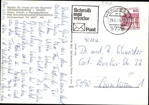Ak Westernbödefeld Schmallenberg im Sauerland, Ferienwohnungen Droste, Reiter, Ortsansicht, Wald