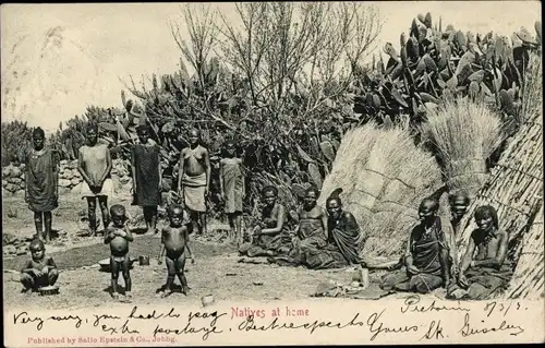 Ak Pretoria Südafrika, Natives at home, Kakteen