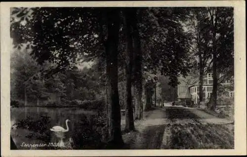 Ak Seppensen Buchholz in der Nordheide, Seppenser Mühle, Schwan