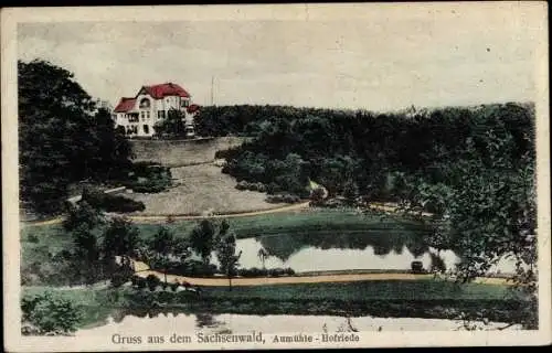 Ak Sachsenwald Hofriede Aumühle im Herzogtum Lauenburg, Blick zu einer Villa