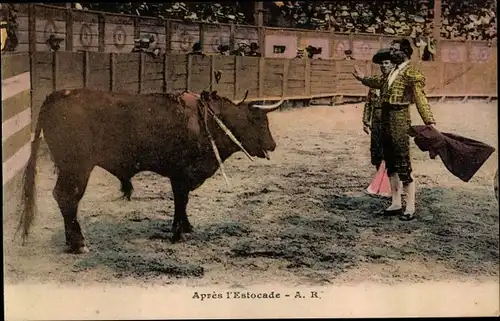 Ak Corrida de Toros, Apres l'Estocade, Stierkampf