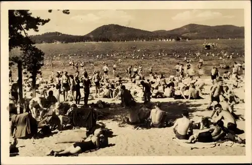 Ak Letovisko Doksy Hirschberg am See Region Reichenberg, Machovo jezero, Strandpartie