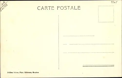 Ak Bex Kanton Waadt, Hotel des Salines et Dent du Midi