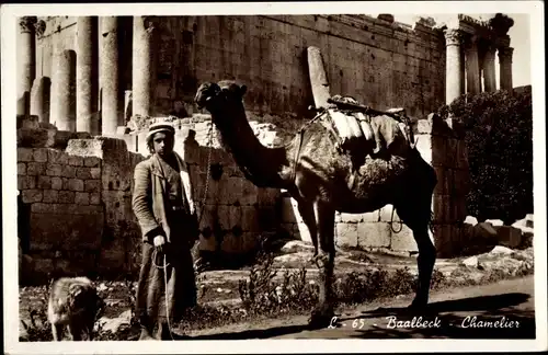 Ak Baalbek Libanon, Cameleer