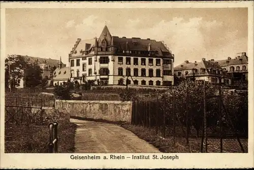 Ak Geisenheim am Rhein Hessen, Institut St. Joseph, Gesamtansicht