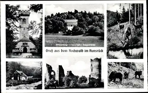 Ak Eckweiler Bad Sobernheim, Ruine, Erbeskopf, Rotwild