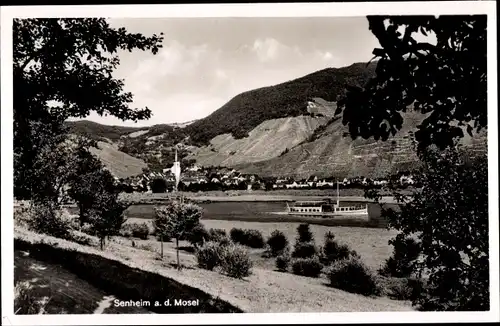 Ak Sennheim an der Mosel, Panorama mit Mosel, Moseldampfer