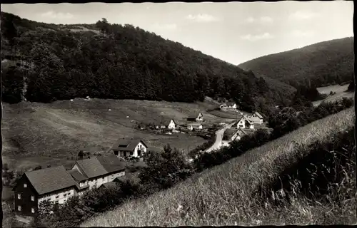 Ak Lonau Herzberg am Harz, Kirchtal, Häuser, Wald