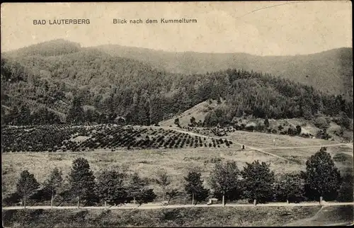 Ak Bad Lauterberg im Harz, Blick nach dem Kummelturm