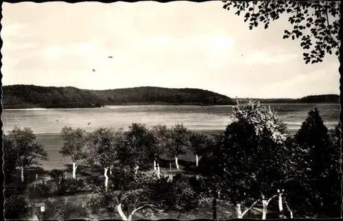 Ak Westensee in Schleswig Holstein, Blick über den Westensee von Wulfsfelde