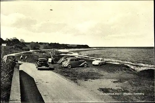 Ak Seeberg Waabs in Schleswig Holstein, Wegepartie, Wiese, Strand, Meer