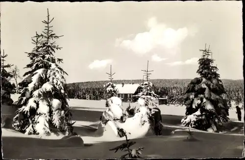 Ak Sankt Andreasberg Braunlage im Oberharz, Gaststätte Sonnenberg im Winter