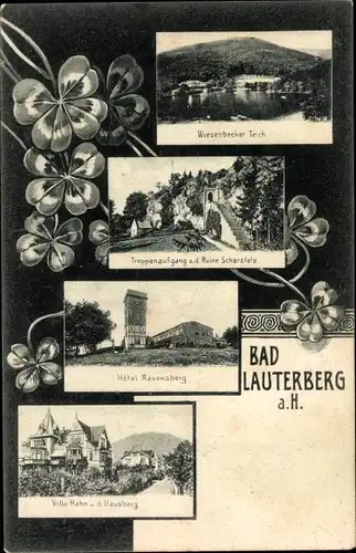 Ak Bad Lauterberg im Harz, Ruine Scharzfels, Treppenaufgang, Hotel Ravensburg, Villa Hahn, Klee