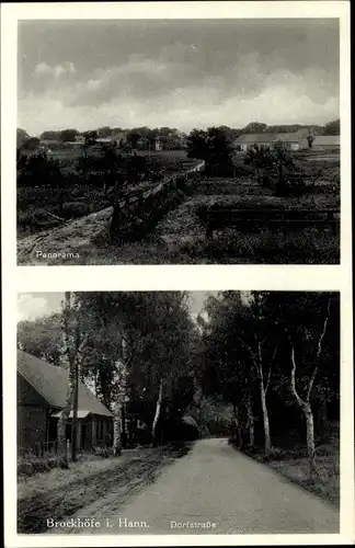 Ak Brockhöfe Wriedel in der Lüneburger Heide, Panorama, Dorfstraße