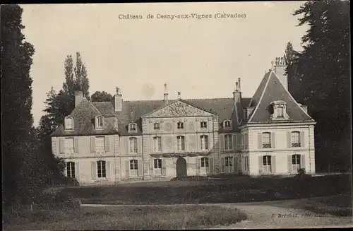 Ak Cesny aux Vignes Calvados, Le Chateau