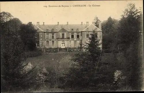 Ak Castillon Calvados, Le Chateau